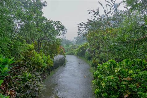 A Walk In The Asia's Cleanest Village .